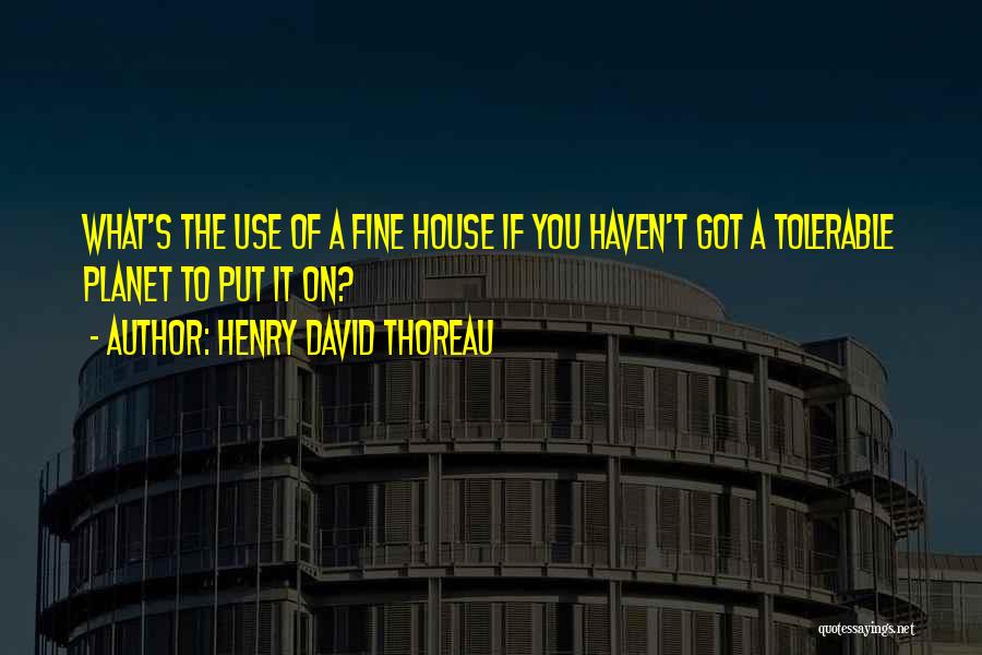 Henry David Thoreau Quotes: What's The Use Of A Fine House If You Haven't Got A Tolerable Planet To Put It On?