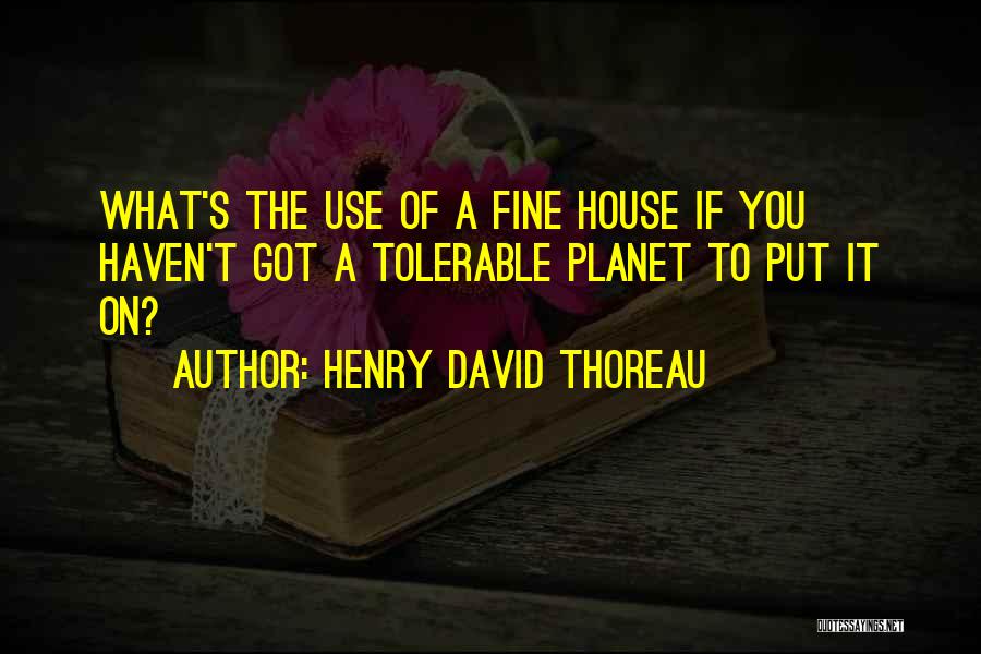 Henry David Thoreau Quotes: What's The Use Of A Fine House If You Haven't Got A Tolerable Planet To Put It On?