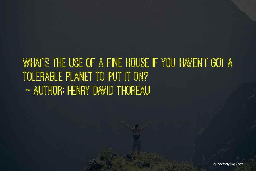 Henry David Thoreau Quotes: What's The Use Of A Fine House If You Haven't Got A Tolerable Planet To Put It On?