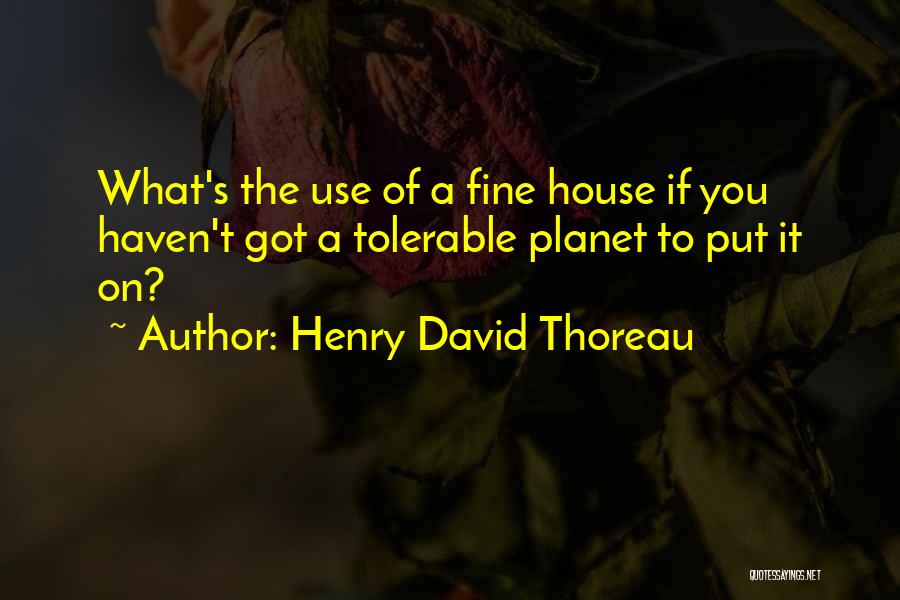 Henry David Thoreau Quotes: What's The Use Of A Fine House If You Haven't Got A Tolerable Planet To Put It On?