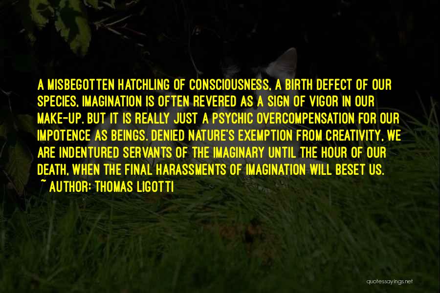 Thomas Ligotti Quotes: A Misbegotten Hatchling Of Consciousness, A Birth Defect Of Our Species, Imagination Is Often Revered As A Sign Of Vigor