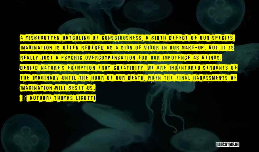 Thomas Ligotti Quotes: A Misbegotten Hatchling Of Consciousness, A Birth Defect Of Our Species, Imagination Is Often Revered As A Sign Of Vigor