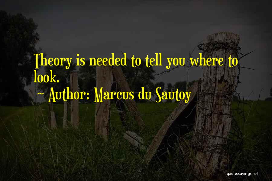 Marcus Du Sautoy Quotes: Theory Is Needed To Tell You Where To Look.