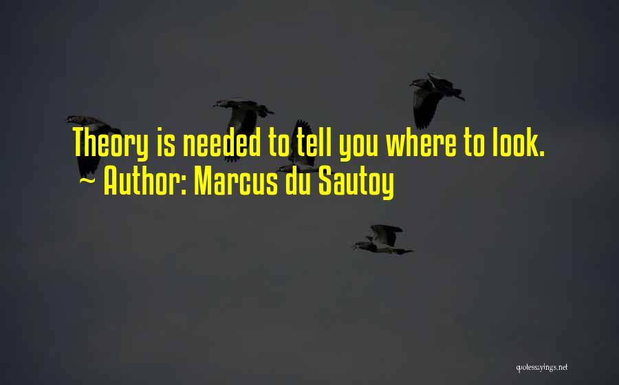 Marcus Du Sautoy Quotes: Theory Is Needed To Tell You Where To Look.