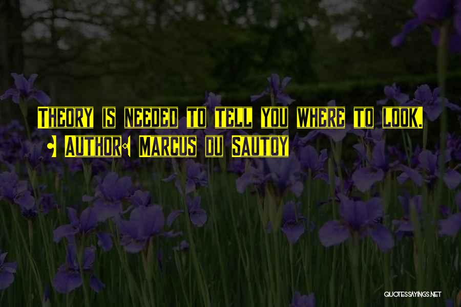 Marcus Du Sautoy Quotes: Theory Is Needed To Tell You Where To Look.