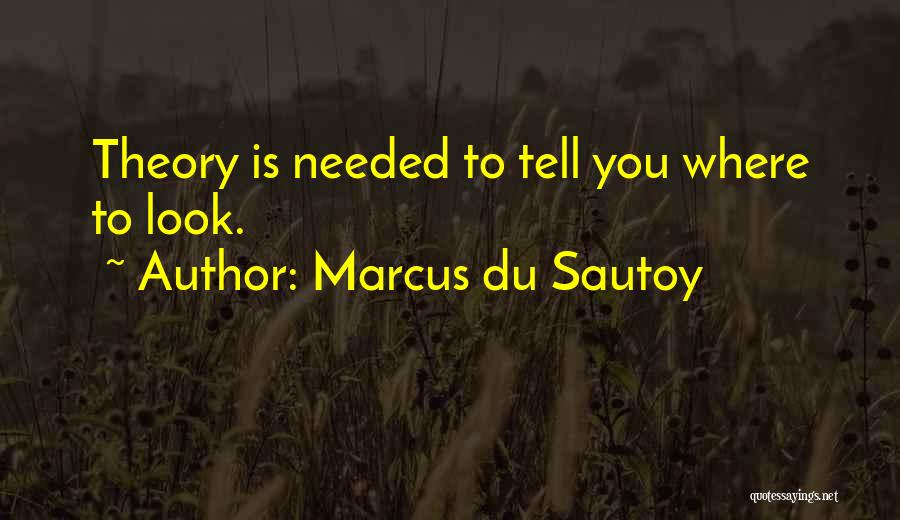 Marcus Du Sautoy Quotes: Theory Is Needed To Tell You Where To Look.