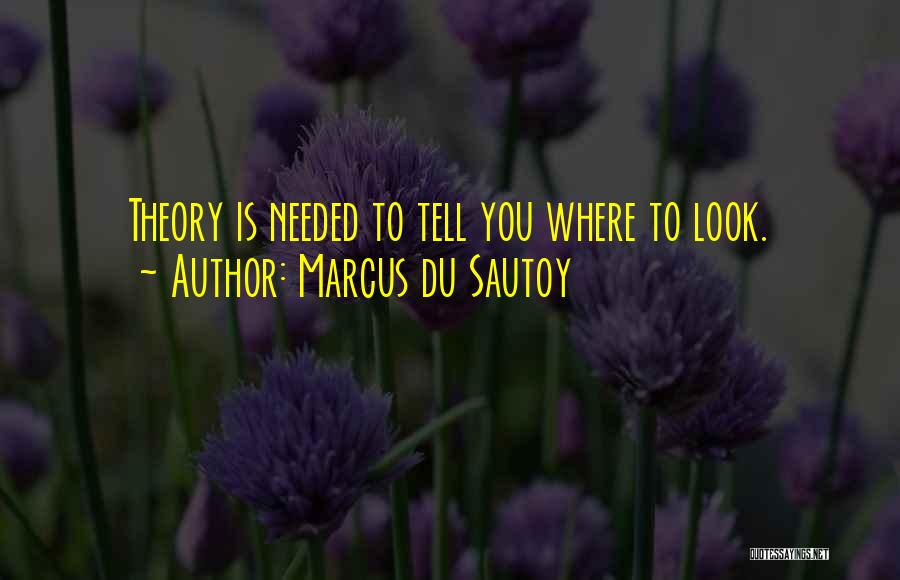 Marcus Du Sautoy Quotes: Theory Is Needed To Tell You Where To Look.