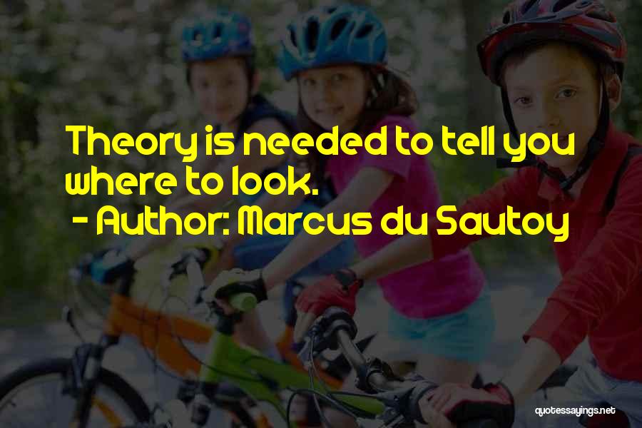 Marcus Du Sautoy Quotes: Theory Is Needed To Tell You Where To Look.