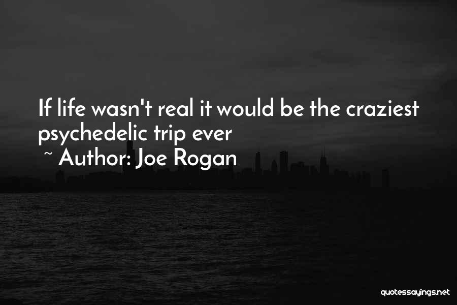 Joe Rogan Quotes: If Life Wasn't Real It Would Be The Craziest Psychedelic Trip Ever