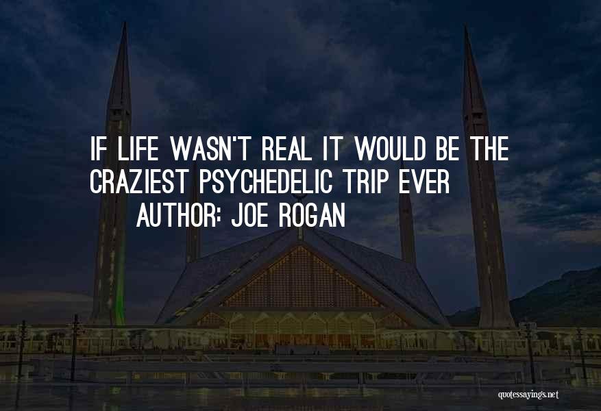 Joe Rogan Quotes: If Life Wasn't Real It Would Be The Craziest Psychedelic Trip Ever