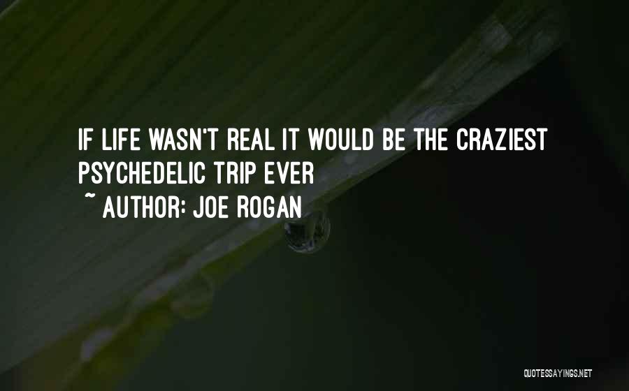 Joe Rogan Quotes: If Life Wasn't Real It Would Be The Craziest Psychedelic Trip Ever