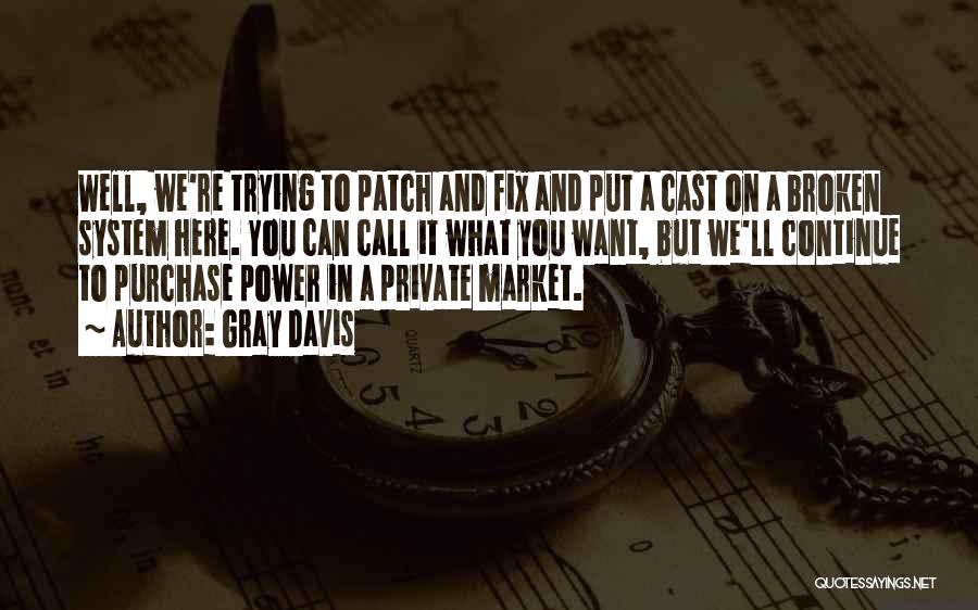 Gray Davis Quotes: Well, We're Trying To Patch And Fix And Put A Cast On A Broken System Here. You Can Call It