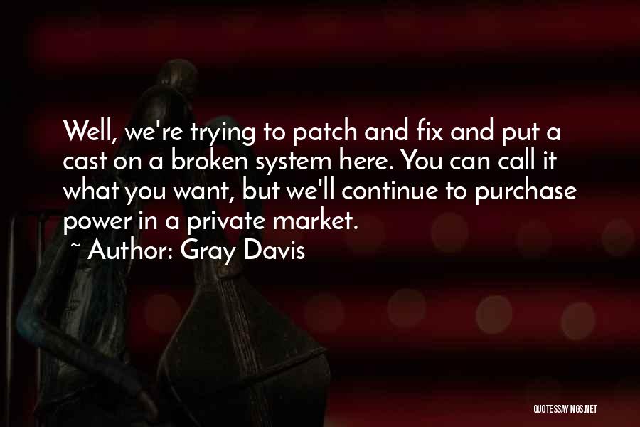 Gray Davis Quotes: Well, We're Trying To Patch And Fix And Put A Cast On A Broken System Here. You Can Call It