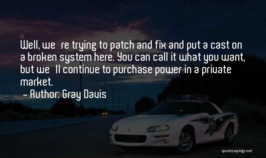 Gray Davis Quotes: Well, We're Trying To Patch And Fix And Put A Cast On A Broken System Here. You Can Call It