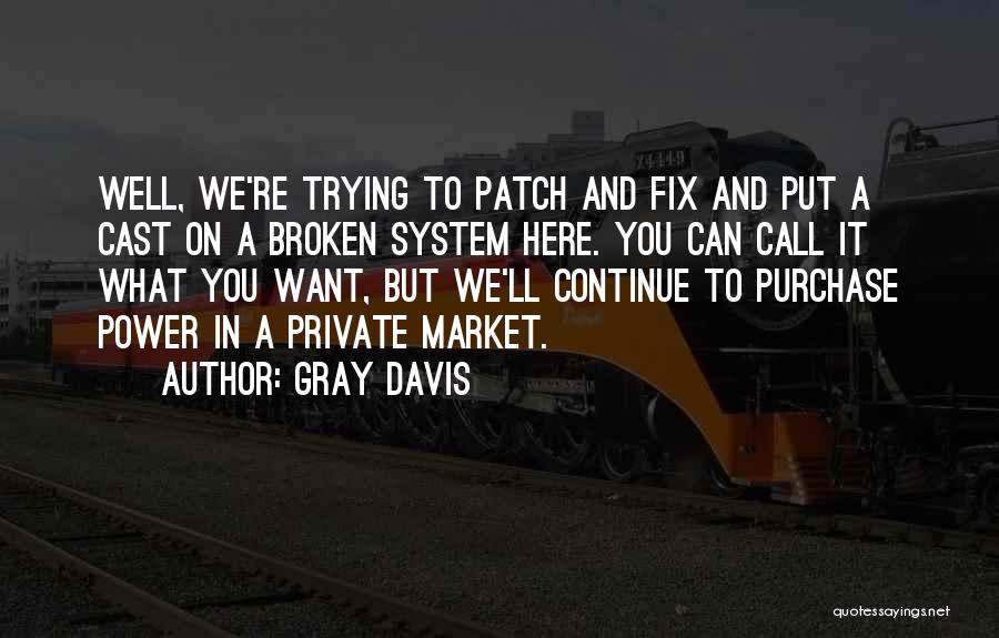 Gray Davis Quotes: Well, We're Trying To Patch And Fix And Put A Cast On A Broken System Here. You Can Call It