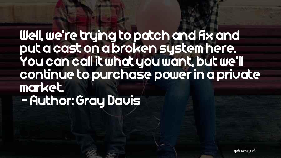 Gray Davis Quotes: Well, We're Trying To Patch And Fix And Put A Cast On A Broken System Here. You Can Call It