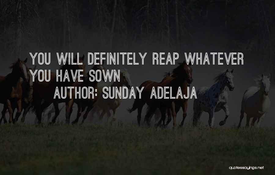 Sunday Adelaja Quotes: You Will Definitely Reap Whatever You Have Sown