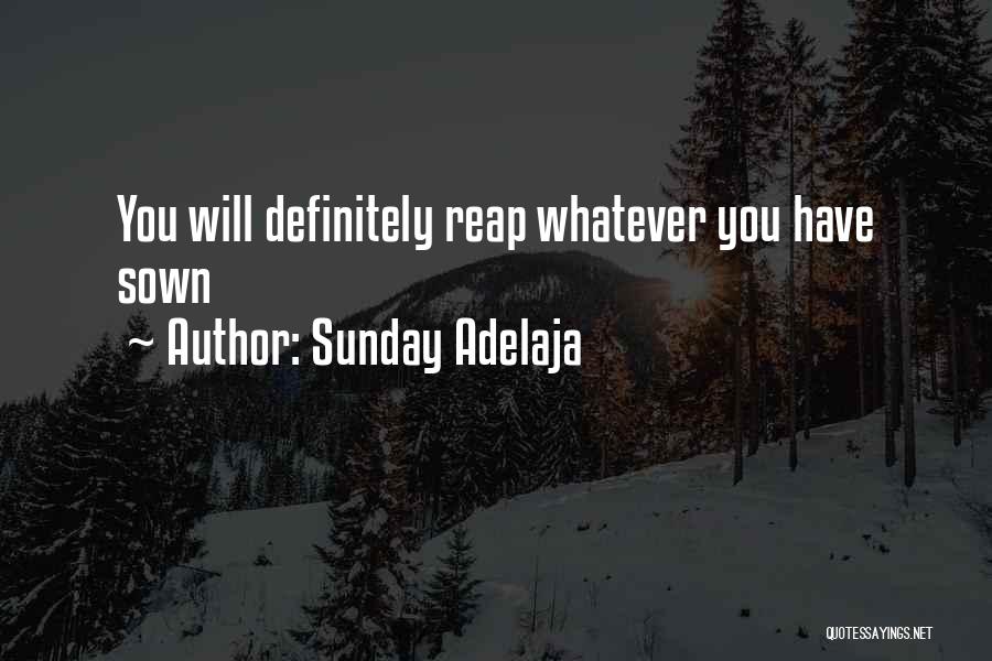 Sunday Adelaja Quotes: You Will Definitely Reap Whatever You Have Sown