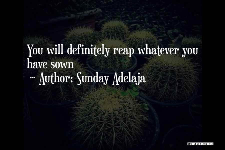 Sunday Adelaja Quotes: You Will Definitely Reap Whatever You Have Sown