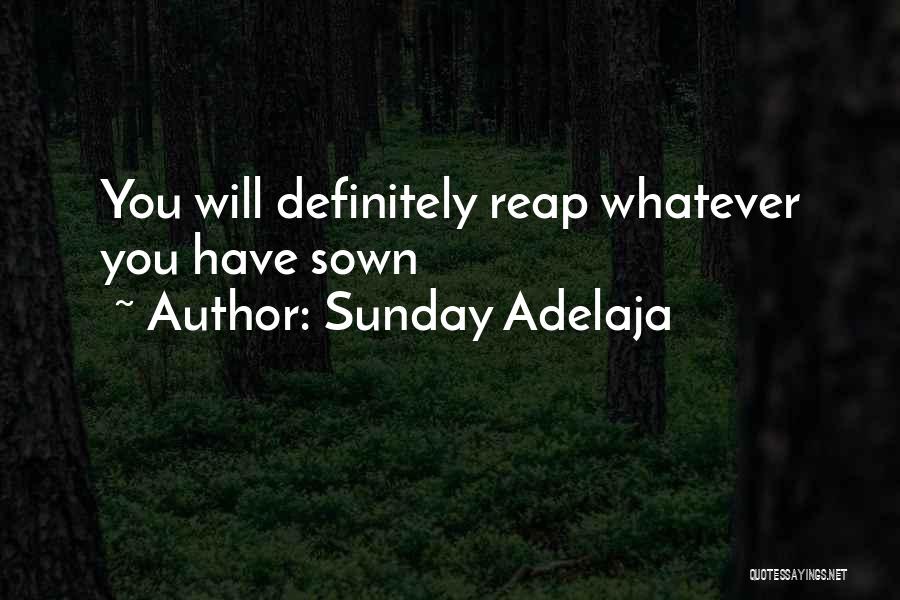 Sunday Adelaja Quotes: You Will Definitely Reap Whatever You Have Sown