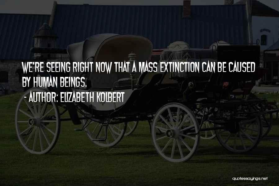 Elizabeth Kolbert Quotes: We're Seeing Right Now That A Mass Extinction Can Be Caused By Human Beings.