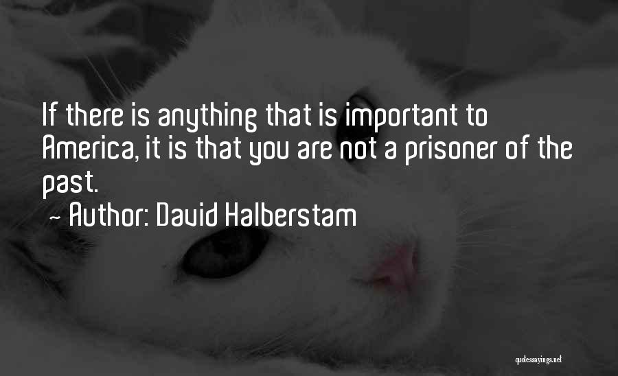 David Halberstam Quotes: If There Is Anything That Is Important To America, It Is That You Are Not A Prisoner Of The Past.