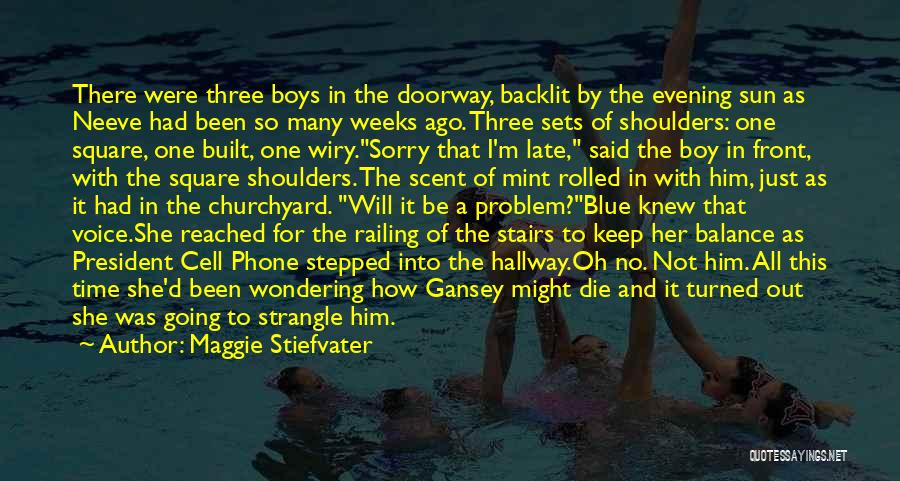 Maggie Stiefvater Quotes: There Were Three Boys In The Doorway, Backlit By The Evening Sun As Neeve Had Been So Many Weeks Ago.