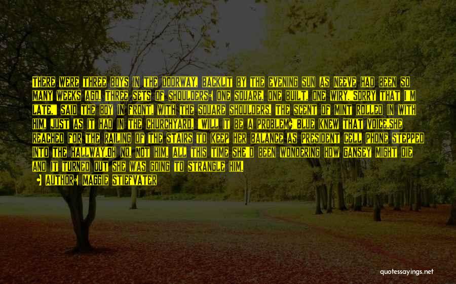 Maggie Stiefvater Quotes: There Were Three Boys In The Doorway, Backlit By The Evening Sun As Neeve Had Been So Many Weeks Ago.