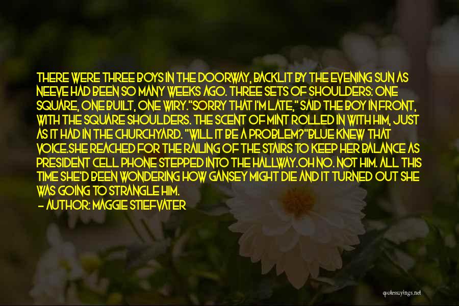 Maggie Stiefvater Quotes: There Were Three Boys In The Doorway, Backlit By The Evening Sun As Neeve Had Been So Many Weeks Ago.