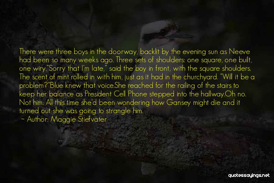 Maggie Stiefvater Quotes: There Were Three Boys In The Doorway, Backlit By The Evening Sun As Neeve Had Been So Many Weeks Ago.