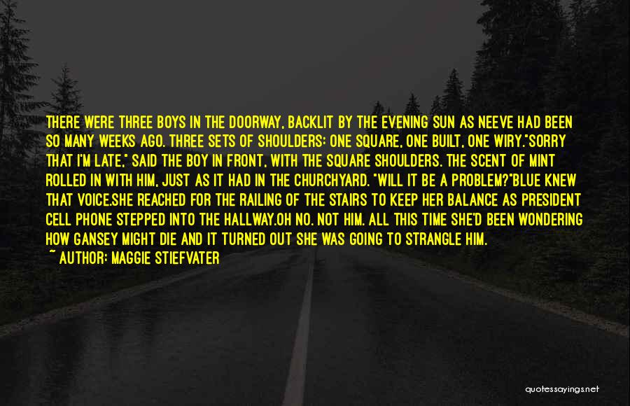 Maggie Stiefvater Quotes: There Were Three Boys In The Doorway, Backlit By The Evening Sun As Neeve Had Been So Many Weeks Ago.