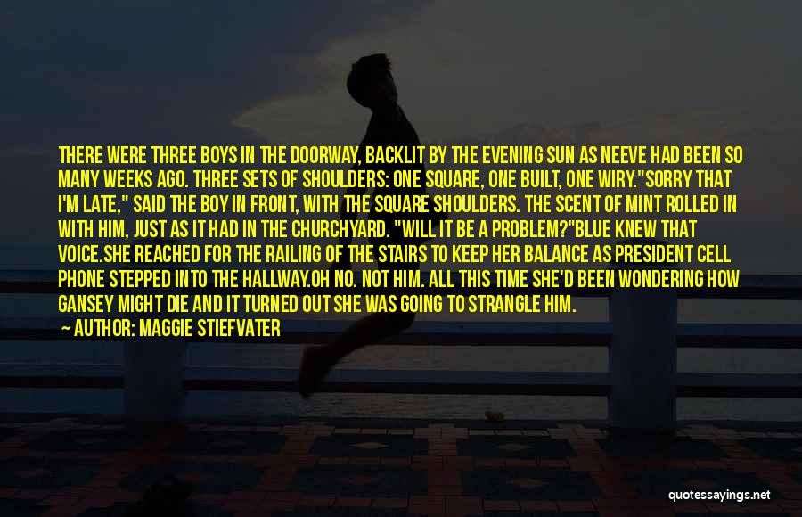 Maggie Stiefvater Quotes: There Were Three Boys In The Doorway, Backlit By The Evening Sun As Neeve Had Been So Many Weeks Ago.