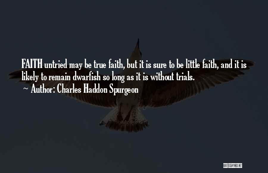 Charles Haddon Spurgeon Quotes: Faith Untried May Be True Faith, But It Is Sure To Be Little Faith, And It Is Likely To Remain