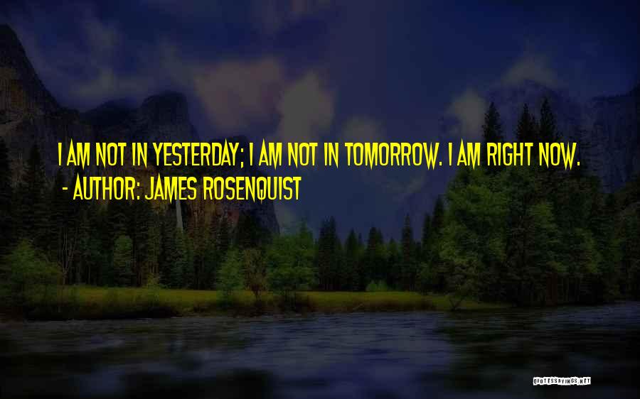 James Rosenquist Quotes: I Am Not In Yesterday; I Am Not In Tomorrow. I Am Right Now.
