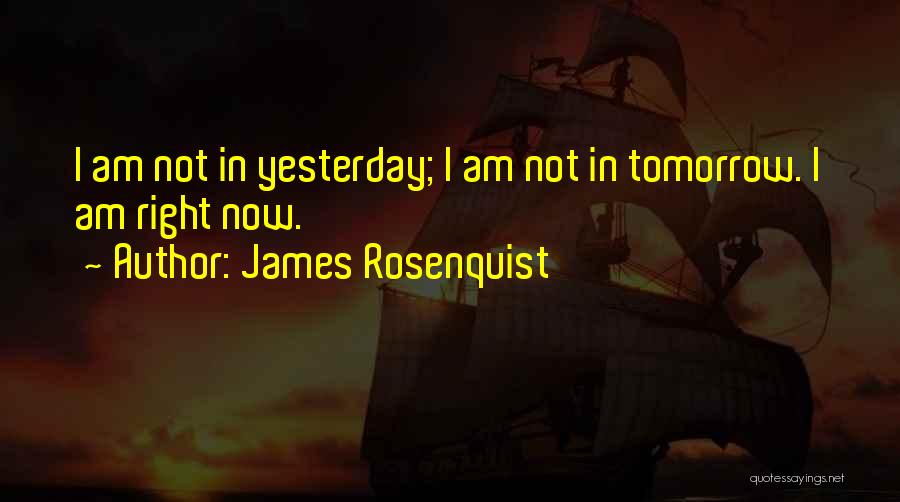 James Rosenquist Quotes: I Am Not In Yesterday; I Am Not In Tomorrow. I Am Right Now.