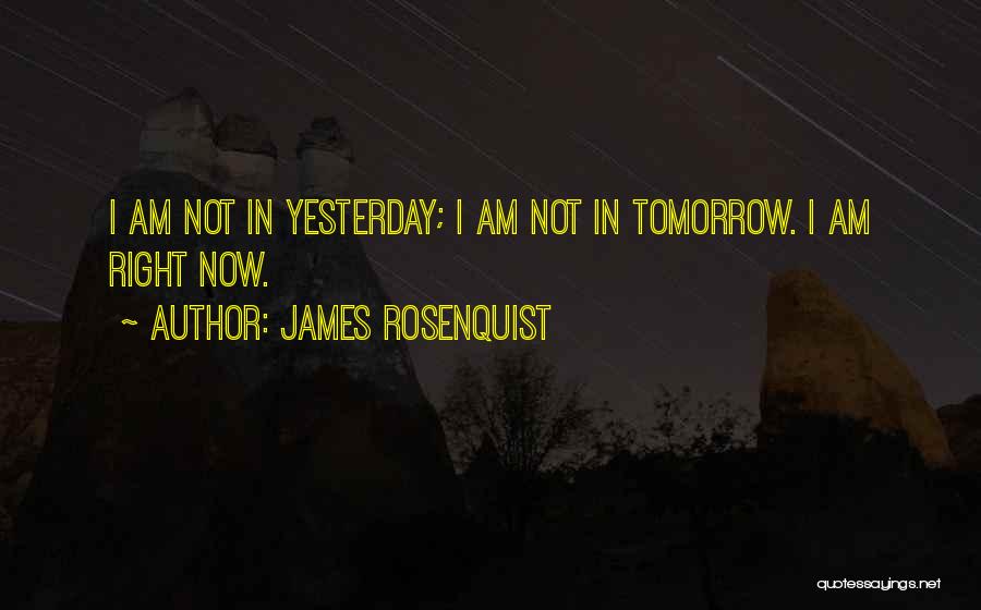 James Rosenquist Quotes: I Am Not In Yesterday; I Am Not In Tomorrow. I Am Right Now.