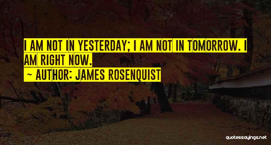 James Rosenquist Quotes: I Am Not In Yesterday; I Am Not In Tomorrow. I Am Right Now.