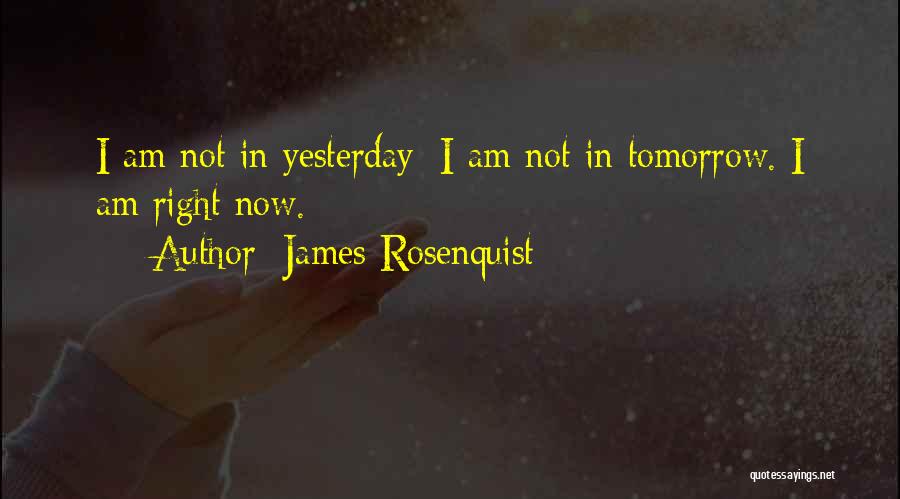 James Rosenquist Quotes: I Am Not In Yesterday; I Am Not In Tomorrow. I Am Right Now.