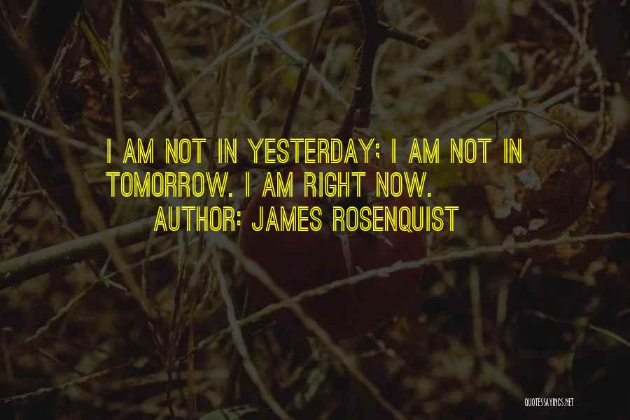 James Rosenquist Quotes: I Am Not In Yesterday; I Am Not In Tomorrow. I Am Right Now.