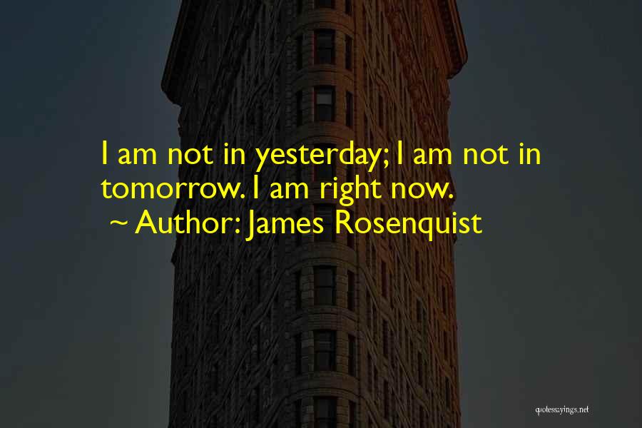 James Rosenquist Quotes: I Am Not In Yesterday; I Am Not In Tomorrow. I Am Right Now.