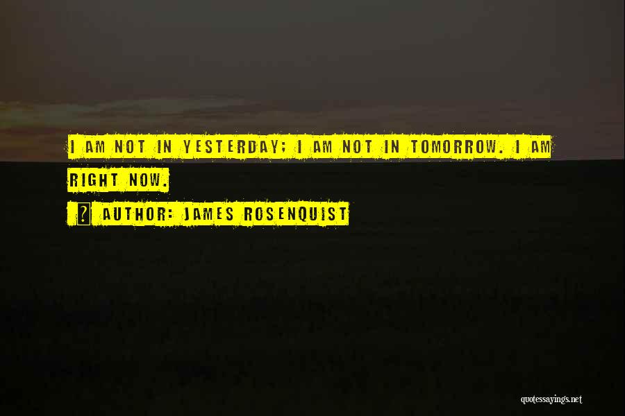 James Rosenquist Quotes: I Am Not In Yesterday; I Am Not In Tomorrow. I Am Right Now.