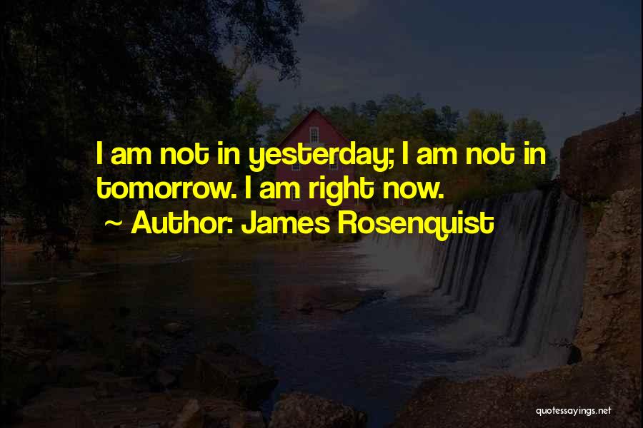 James Rosenquist Quotes: I Am Not In Yesterday; I Am Not In Tomorrow. I Am Right Now.