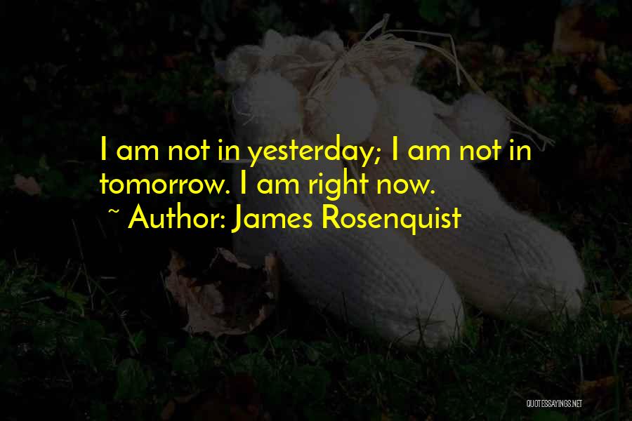 James Rosenquist Quotes: I Am Not In Yesterday; I Am Not In Tomorrow. I Am Right Now.