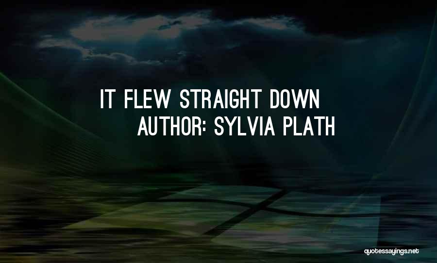 Sylvia Plath Quotes: It Flew Straight Down