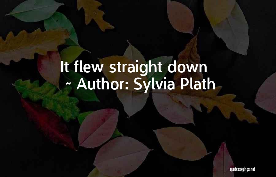 Sylvia Plath Quotes: It Flew Straight Down
