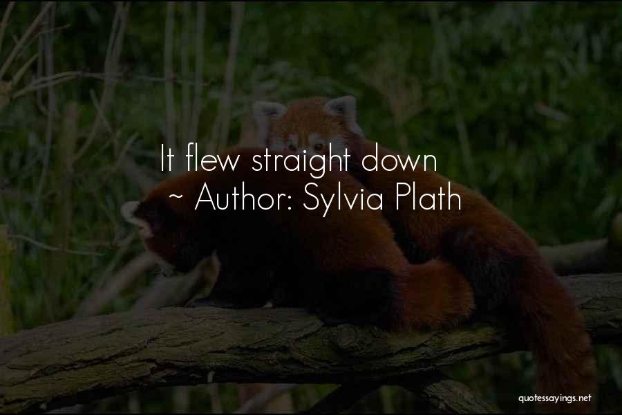 Sylvia Plath Quotes: It Flew Straight Down