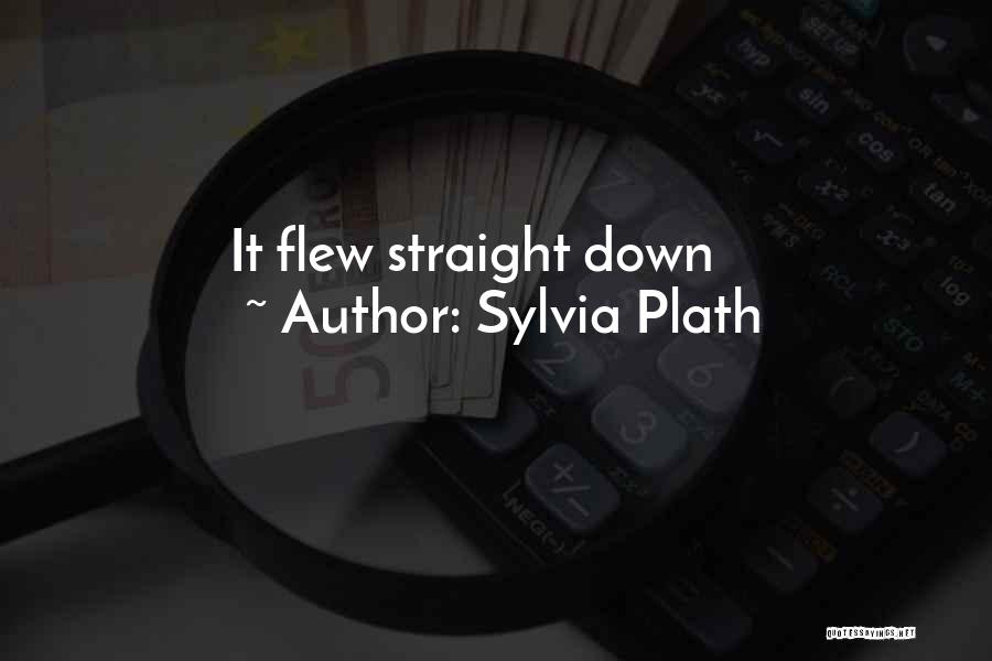 Sylvia Plath Quotes: It Flew Straight Down