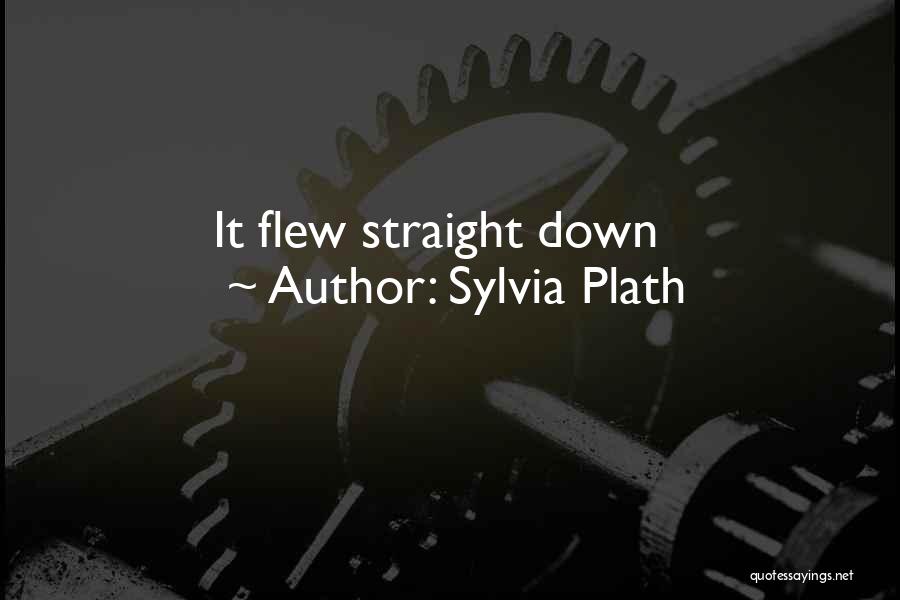 Sylvia Plath Quotes: It Flew Straight Down