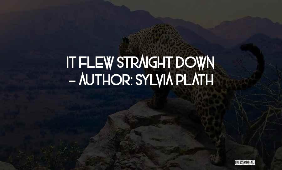Sylvia Plath Quotes: It Flew Straight Down