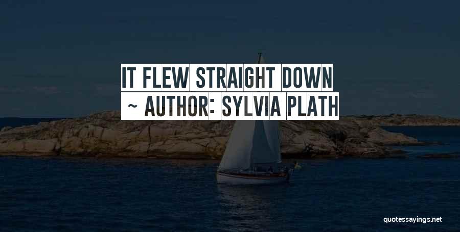 Sylvia Plath Quotes: It Flew Straight Down